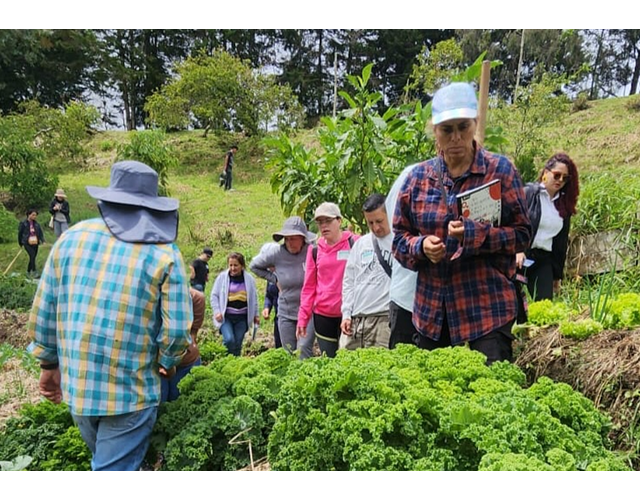 captura-de-pantalla-2025-08-19-145002.png