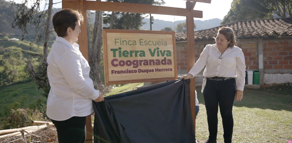 homenaje_mesa-de-trabajo-3_mesa-de-trabajo-5_mesa-de-trabajo-1.png