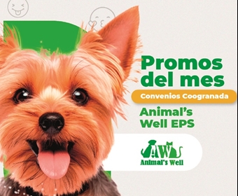animal-well_mesa-de-trabajo-1.jpg