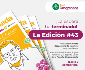 sin-titulo-1_mesa-de-trabajo-1-6.png