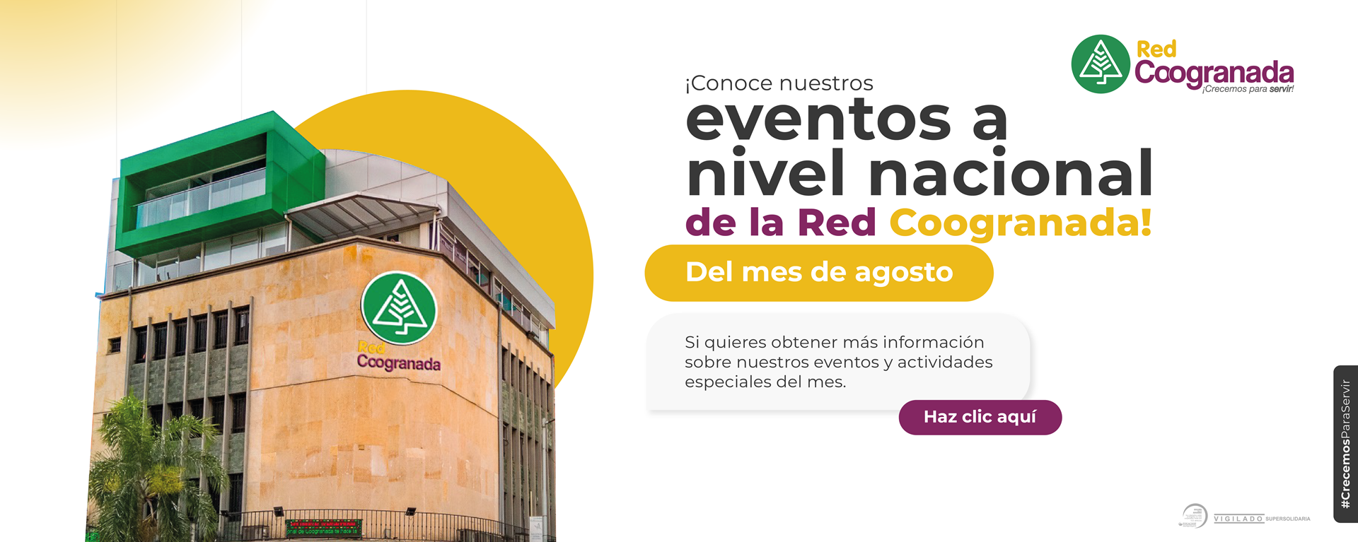 banner-03.png